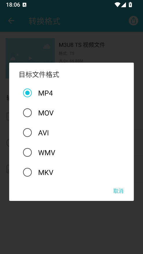 选择 MP4 输出格式