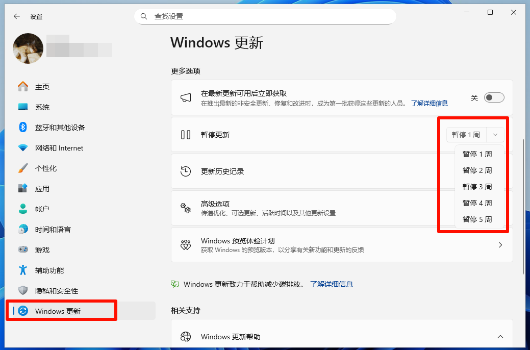 Win11 禁用自动更新步骤一
