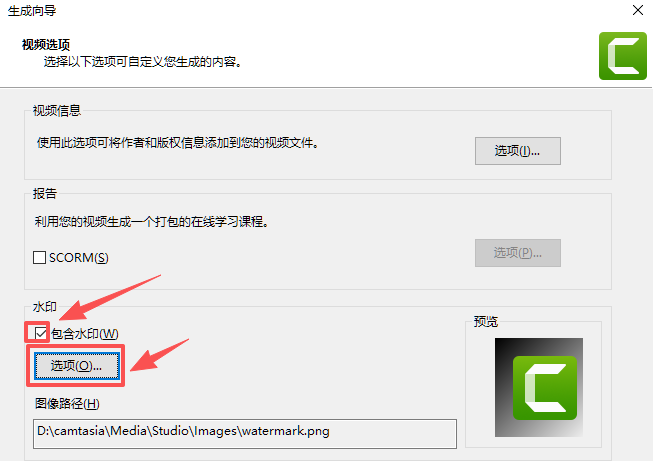 Camtasia 勾选包含水印