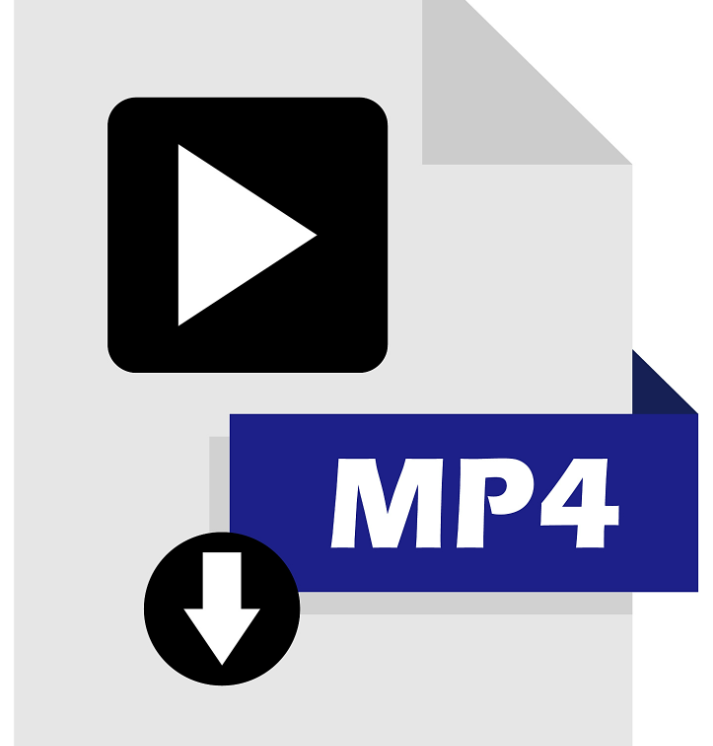 MP4格式