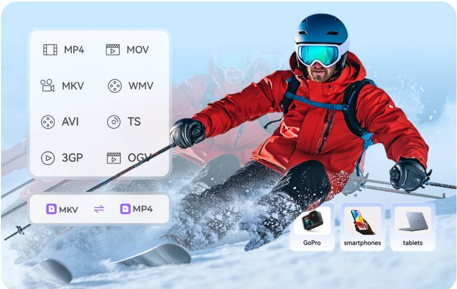 HitPaw Video Converter