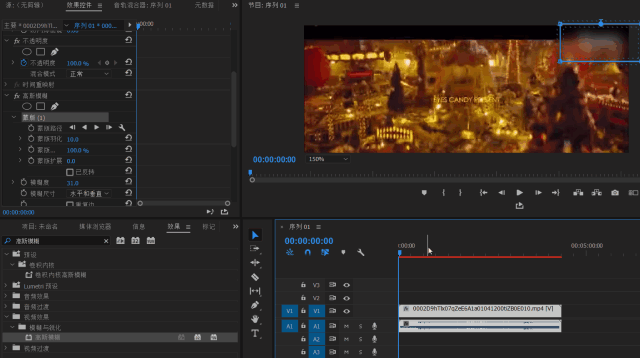 Adobe Premiere Pro 去水印
