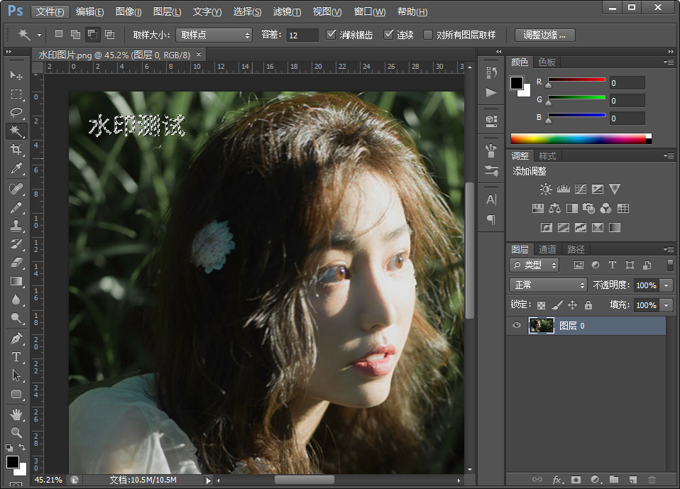 Photoshop 专业图像去水印方法一