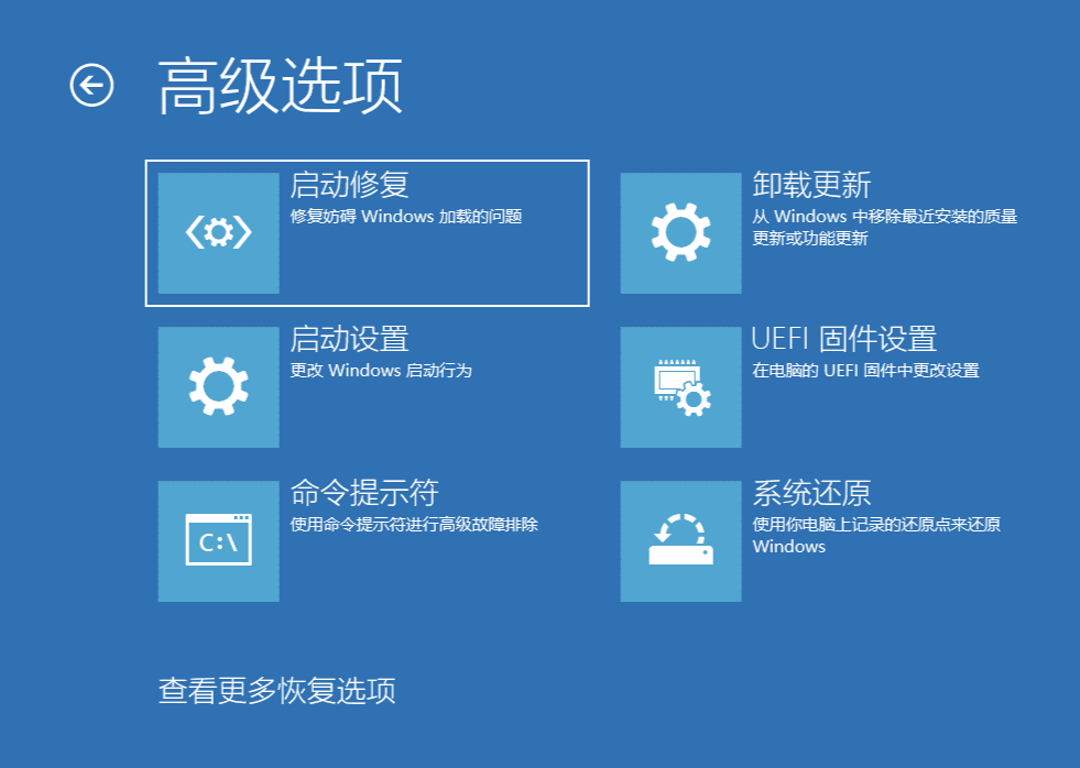 Windows 高级选项