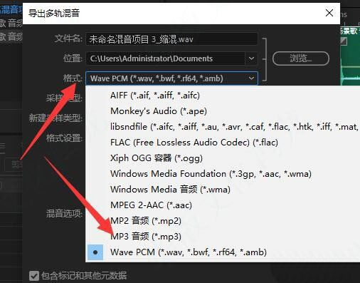 选择 MP3 音频