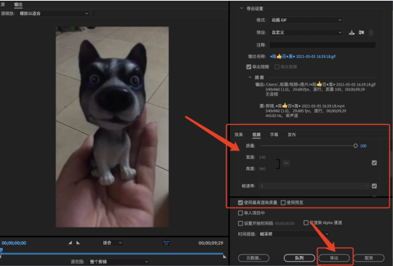 设置 GIF 输出参数并导出