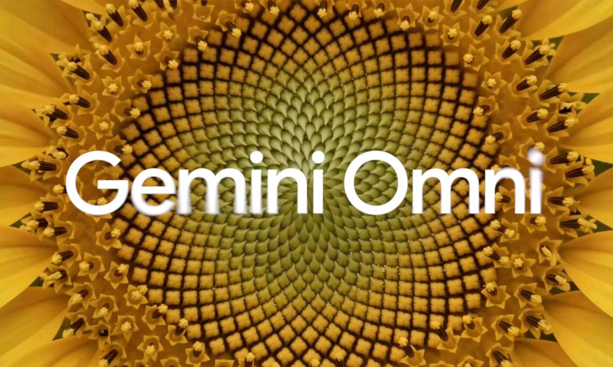 Gemini Omni 1.1 Flash