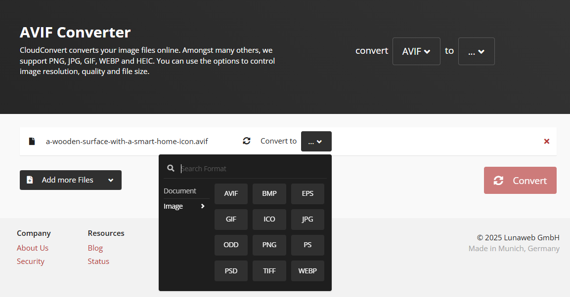 选择想要转换的图像格式