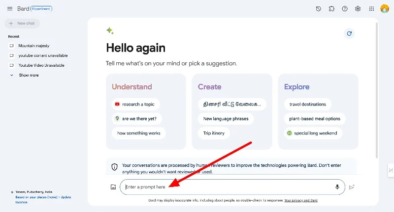 打开 Google Gemini