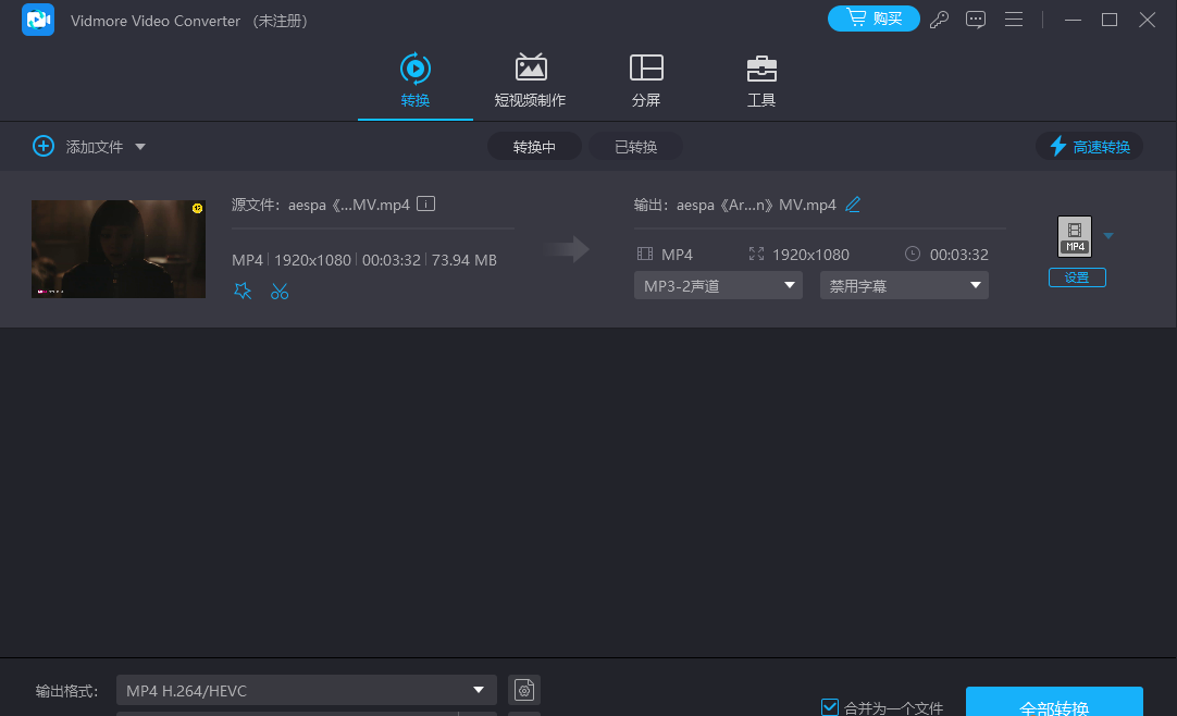 Vidmore Video Converter