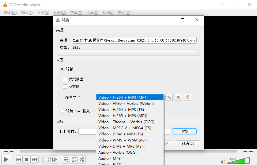 选择 MP4 格式配置