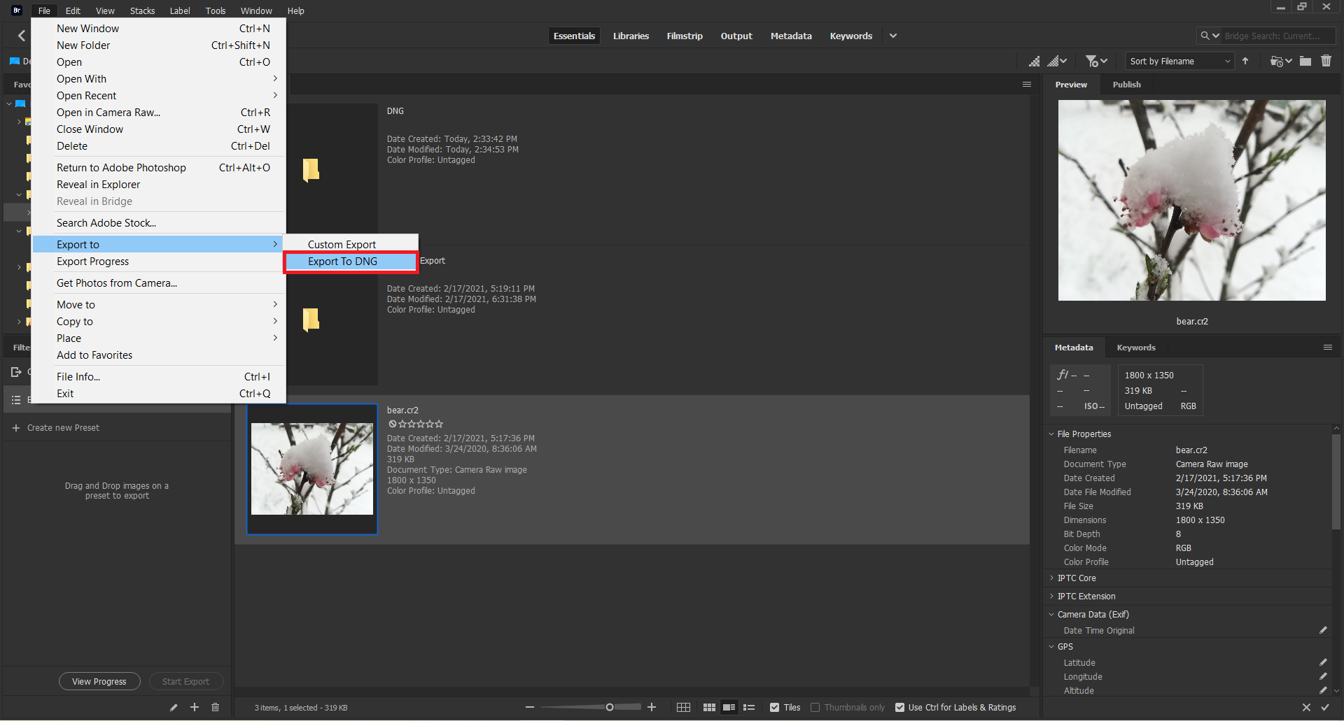 使用 Adobe Bridge 与 Camera Raw 转换 CR2