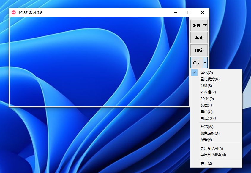 导出为 AVI 或 MP4