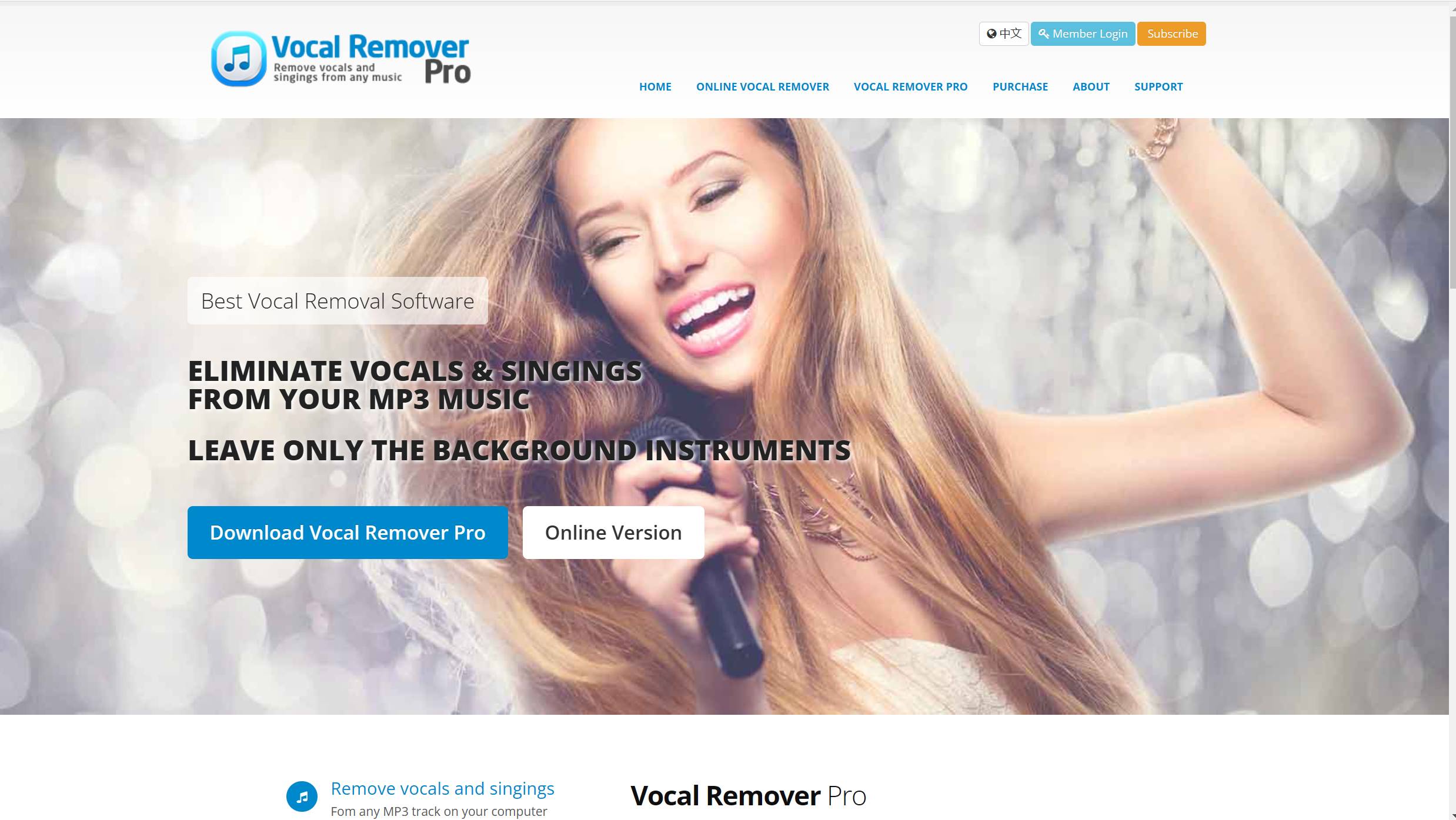 Vocal Remover Pro