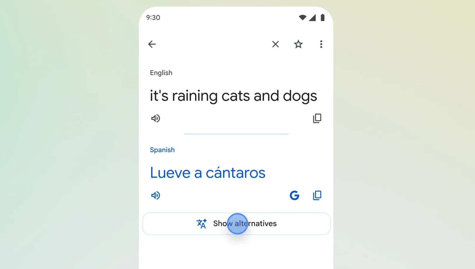Google Translate