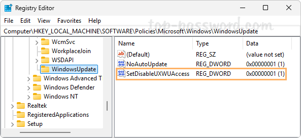 Windows 11 禁用自动更新