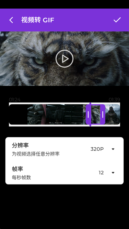 设置 GIF 片段时长