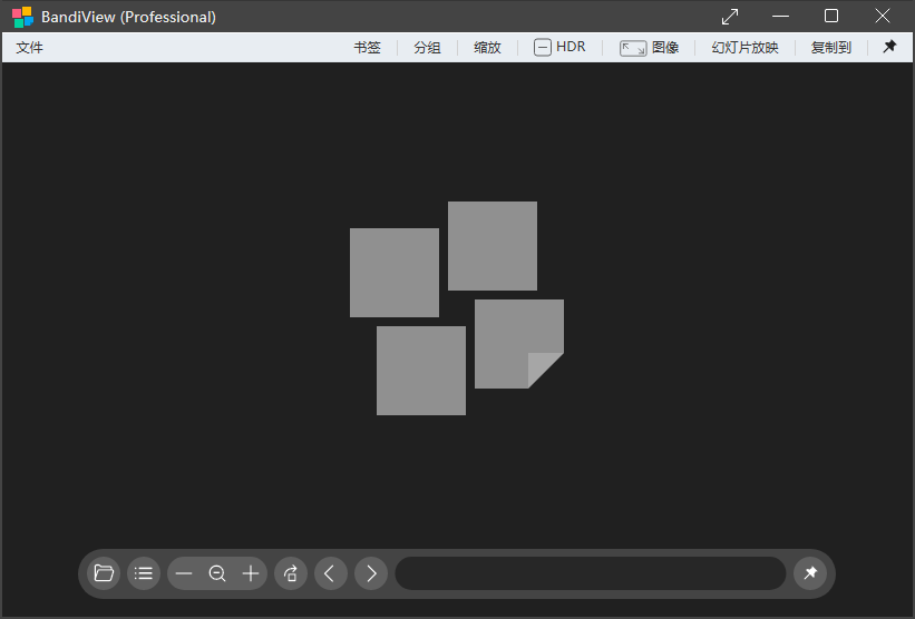 BandiView Professional