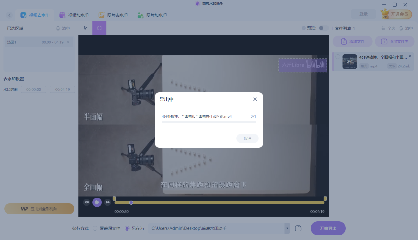开始移除视频水印