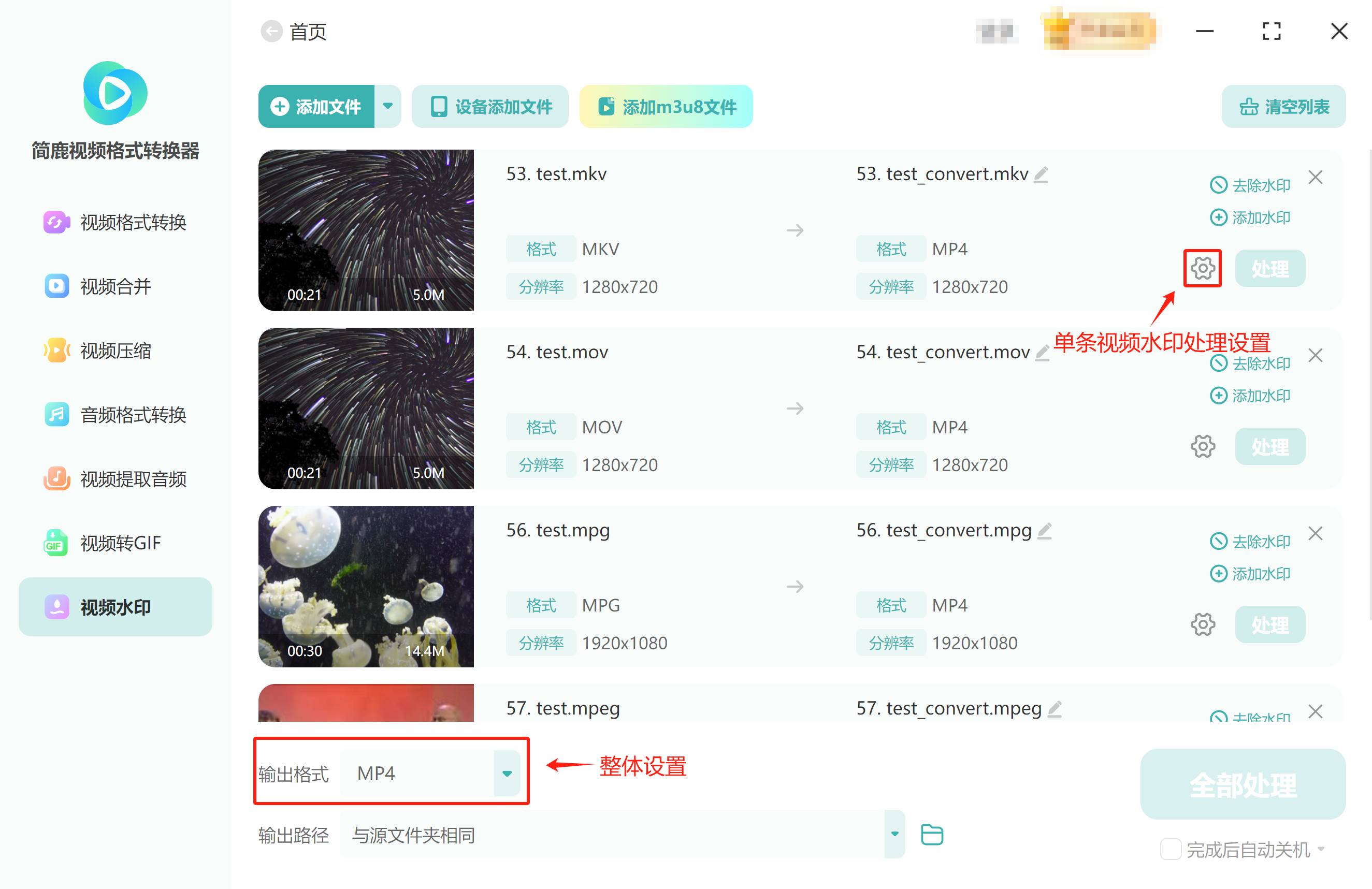 单条视频处理水印输出设置和整体设置