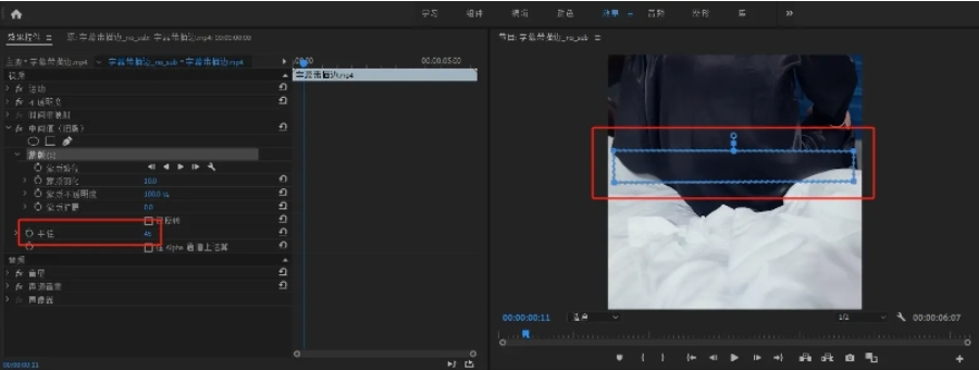 Adobe PR 去除视频水印步骤三
