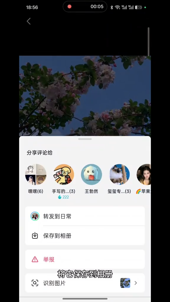 保存实况图像