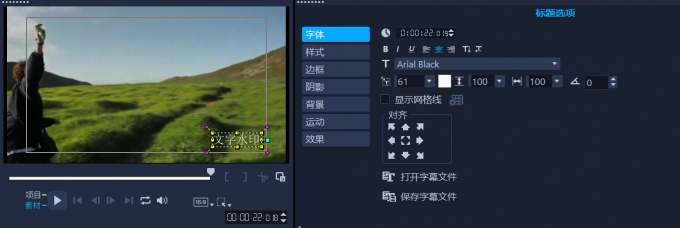 调整文字水印样式